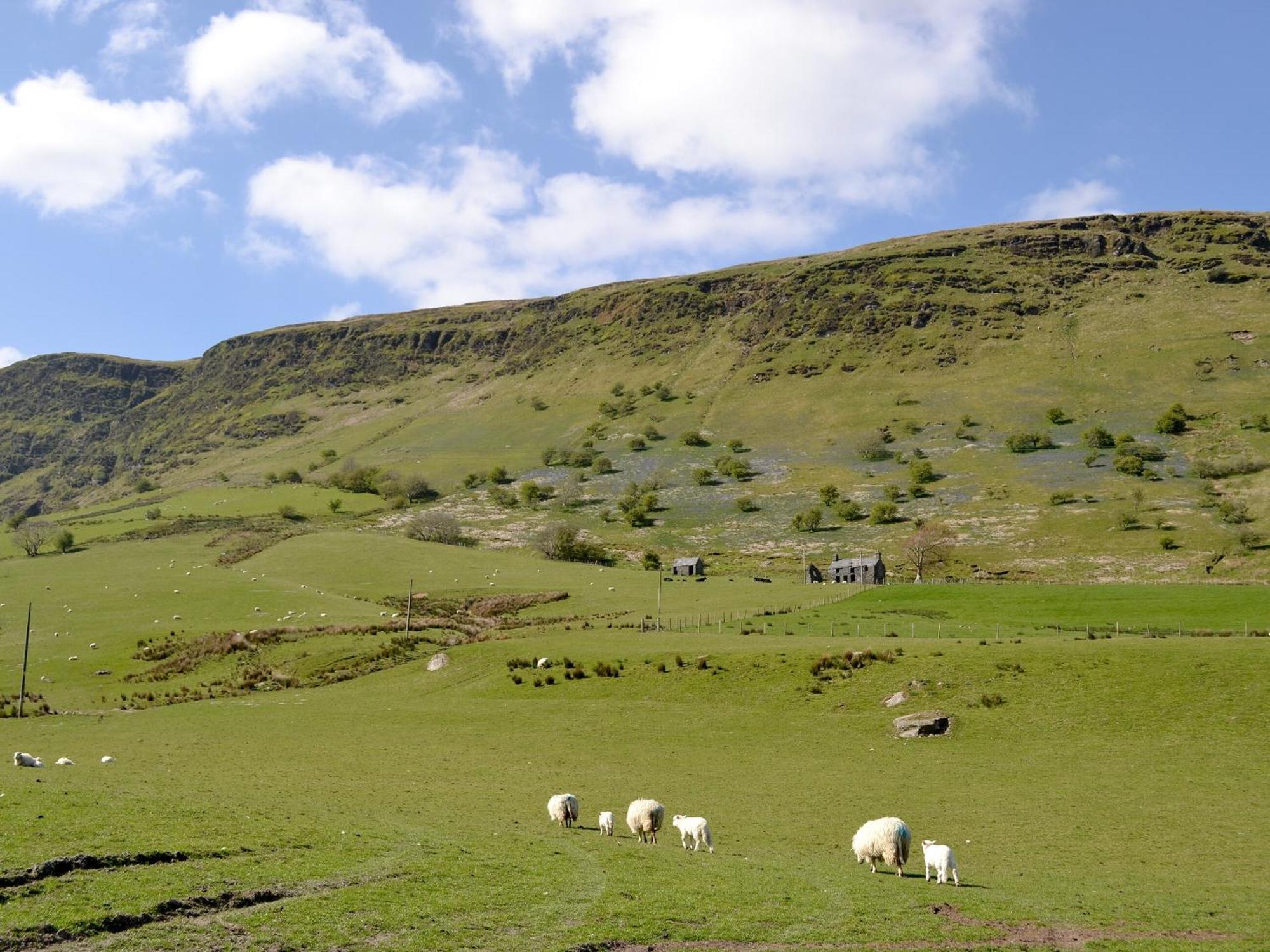 Maybill Cottage Penmachno Esterno foto